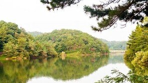 대세는 ‘공원형 아파트’, 울산 남구에도 속속 등장