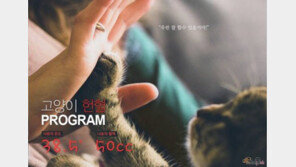 고양이 전문 백산동물병원, 삼성전자서 감사패