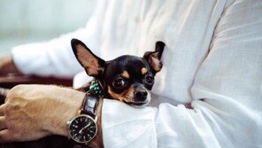 펫팸족 5명중 1명 "배우자보다 펫이 더 좋아"