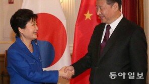 시진핑 “대북제재 완전히 이행할 것” 