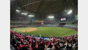 야구가 돌아왔네