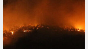 단양 소백산 대형 산불, 13시간 만에 불길 잡혀 ‘잔불 정리 中’…인명 피해는?