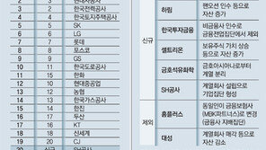 벤처출신 첫 대기업 카카오, 몸집 70배 큰 삼성과 동일 규제 