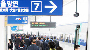 포항KTX 개통 1년… 관광개발 사업도 활기