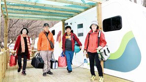 대구 ‘비슬산 자연휴양림’ 오토캠핑장 개장