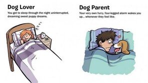 혹시 내가 개를 모시고 사는 건 아닐까