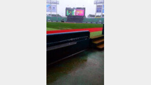 KBO “LG-한화전 우천취소 결정 김재박 6경기 출장정지” 