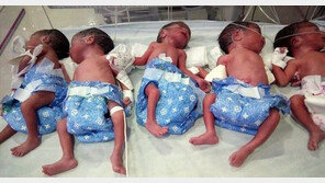 초음파 검사 안 한 엄마, 다섯 쌍둥이 출산…이럴수가? 