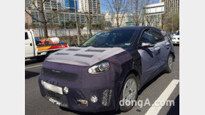 현대차 아이오닉·기아차 니로 ‘교통 체증 체험’…PHEV 테스트?