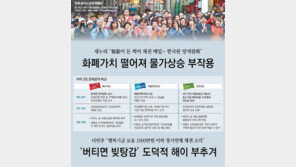 파격 공약 실효성 논란