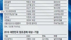 [2016 대한민국 창조경제 대상]창의적 CEO의 창조경제 노력,미래를 여는 길이 되다