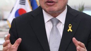 더민주 김진표 “제 판단에는 100석 넘기면 성공”