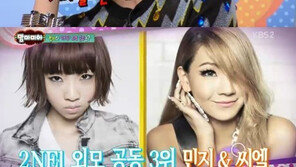 ‘2NE1 탈퇴설’ 공민지, 팀 외모 서열 다시보니? “4명 中 공동 3위”