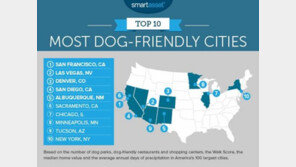 미국서 반려견이 가장 살기 좋은 도시는