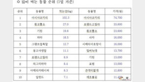 '먹방 베스트 10'에 오른 동물은?
