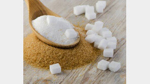 ‘설탕수저’ 한국인 입맛을 바꿔라…정부 설탕과의 전쟁 선포 