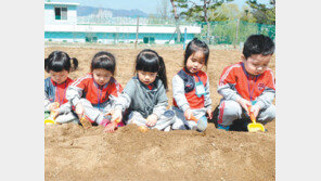 “씨감자 심기 재미있어요”