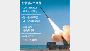 韓국방 “北, 신형방사포 2016년내 실전배치”