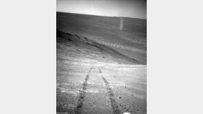 으스스한 회오리 ‘가장 무서운 화성 사진’