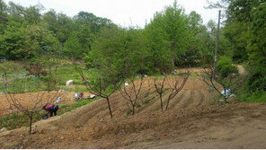 [화제의 분양현장]그린벨트 해제 기대감 솔솔∼ 하남 부동산 시장 훈풍 