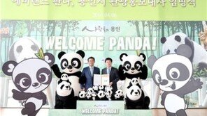 에버랜드 판다, 용인 관광홍보대사로..21일 일반공개