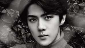 엑소 세훈 팬들 훈훈한 유기동물 후원