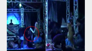 20대 女가수, 공연 중 킹코브라에 물려 ‘사망’ 