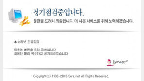 국내 최대 음란사이트 ‘소라넷’ 해외 핵심서버 폐쇄 