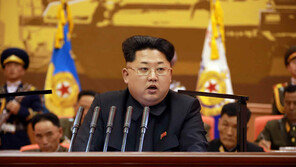 北, 5년 연속 사형 집행한 나라… 앰네스티 “불공정한 재판” 