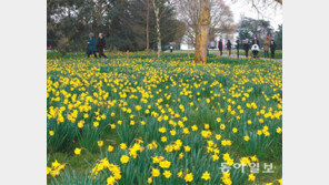 [Feeling]봄이 내려앉은 정원 세월의 흔적과 현대의 삶이 어우러진다