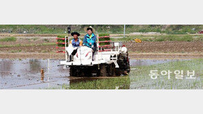 부산 첫 모내기