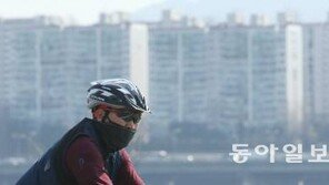 미세먼지 공포…전문가 “마스크? 외출 삼가는 게 최선” 