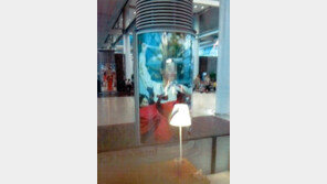 [단독]자기도 모르게 7년간 공항에 사진 걸린 여성, 법원 판결은?