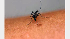 황교안 “지카 바이러스 등 감염병, 과학기술적 해법 제시 중요”