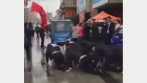 [영상]실적 달성 못 한 회사원들, 도로에서 개처럼 엉금엉금…논란 