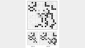 [바둑]제59기 국수전… 삭감 대신 침입