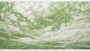 구름 잡는 전시회