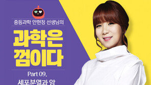 [안현정 선생님의 과학은 껌이다] Part 09.세포분열과 암