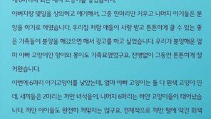 경기도 홈피 첫 무료배너 '아기 고양이 분양합니다'