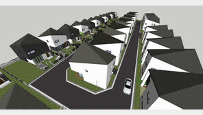 ‘동백 트리플힐스 디자이너스’ 편리·힐링·실속 3박자