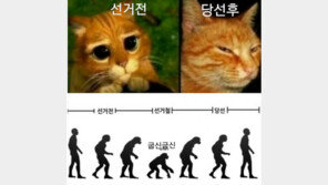 사족보행→직립보행, 선거전후 정치인 패러디물 공감·씁쓸 