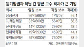 52개 그룹 등기임원 평균연봉 6억원