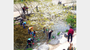 바닥까지 깨끗해진 청계천 