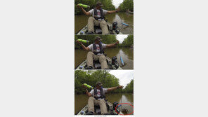 아빠가 악어 낚아, 딸과 아빠 ‘비명’