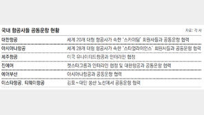 저비용항공 “해외와 손잡고 날자”
