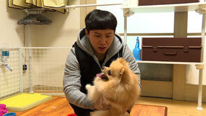 [오늘의 채널A] 개를 싫어하던 양세형의 변신