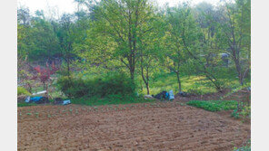 [화제의 분양현장]“그린벨트 곧 풀린다” 기대감에 하남땅에 관심 집중 