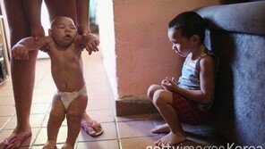 브라질, 지카 공포·소두증 피해 확산…콜롬비아서도 소두증 신생아 2명 출생