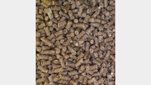 개가 주말농장 다녀왔는데 구토하는 이유