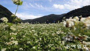 ‘민족의 영산’ 태백산, 22번째 국립공원으로 지정